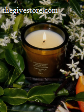 Flamingo Estate Night Blooming Jasmine & Damask Rose candle in jasmine and citrus botanical environment 